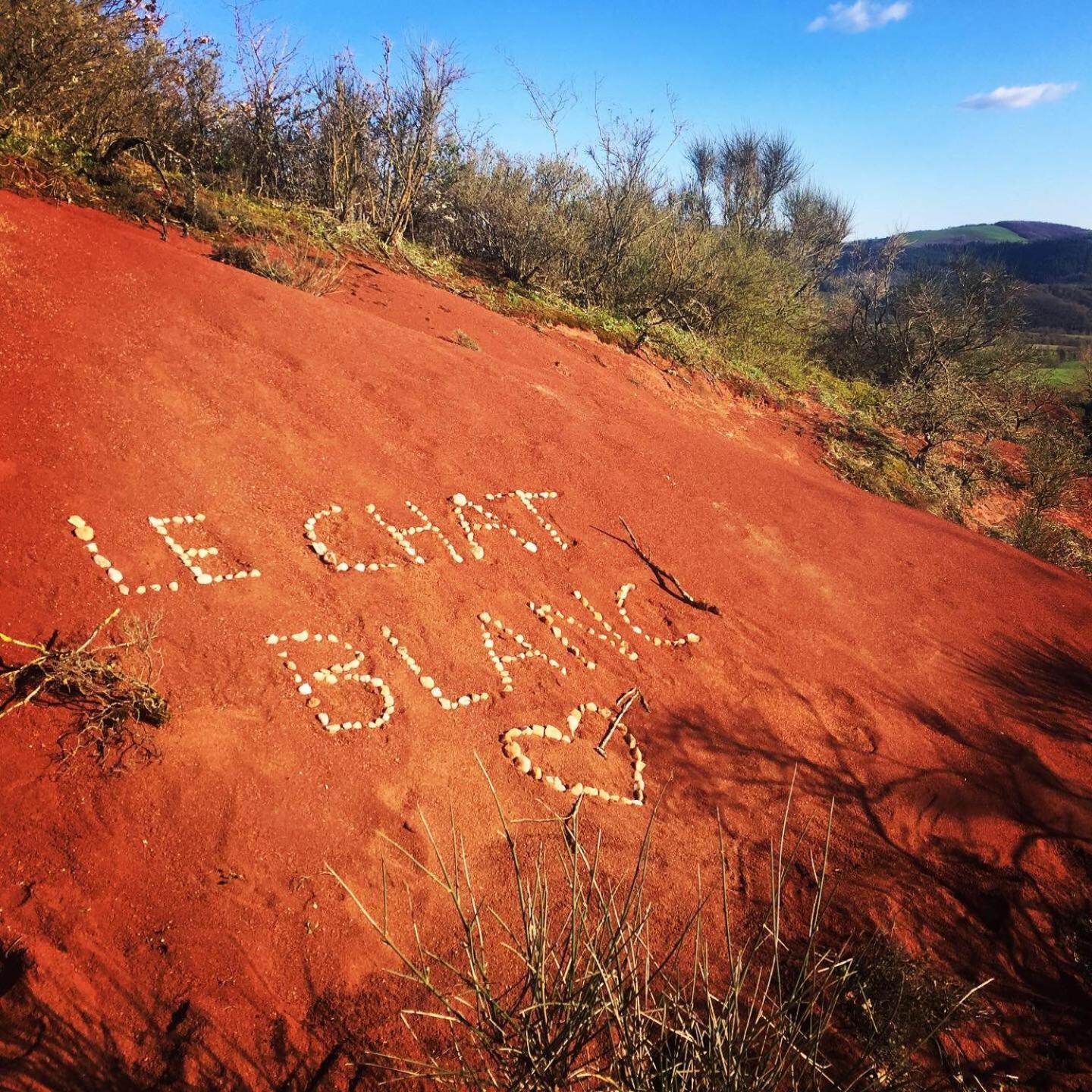 Le Chat Blanc Gite Versols-et-Lapeyre Esterno foto